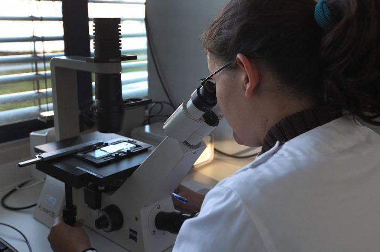 OE2019: INVESTIMENTO EM CIÊNCIA E TECNOLOGIA AUMENTA 11,5% PARA 616,5 MILHÕES