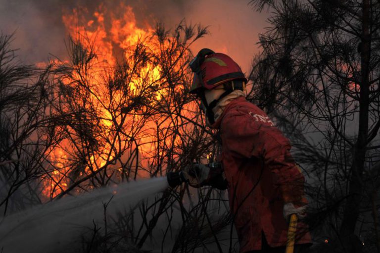 MAIS DE 200 BOMBEIROS E OITO MEIOS AÉREOS COMBATEM CHAMAS NA PAMPILHOSA DA SERRA