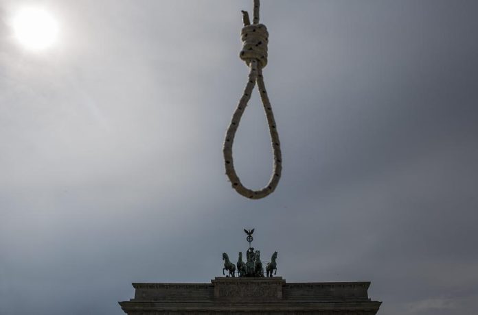 17627866.jpg