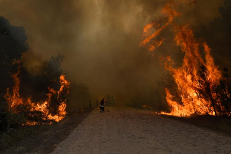CERCA 85 CONCELHOS DE 12 DISTRITOS DO CONTINENTE EM RISCO MÁXIMO DE INCÊNDIO