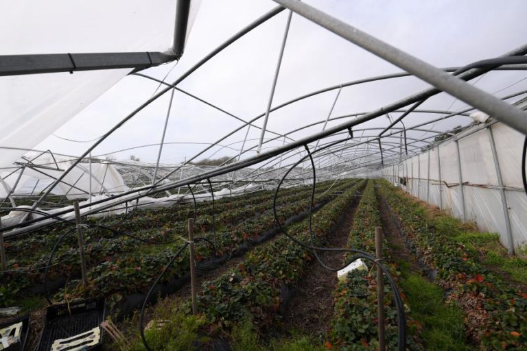 SITUAÇÕES AGRÍCOLAS MAIS PREOCUPANTES NO CENTRO DEVIDO À TEMPESTADE