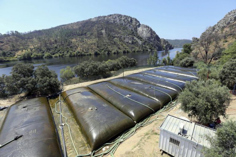 RECOLHA DAS LAMAS RETIRADAS DO RIO TEJO EM VILA VELHA DE RÓDÃO COMEÇOU HOJE