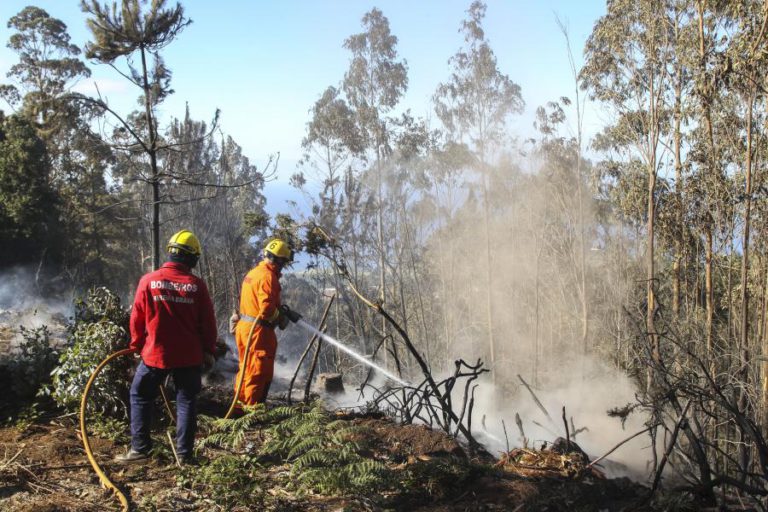 MADEIRA ESTENDE PLANO DE COMBATE  A INCÊNDIOS ATÉ 15 DE NOVEMBRO