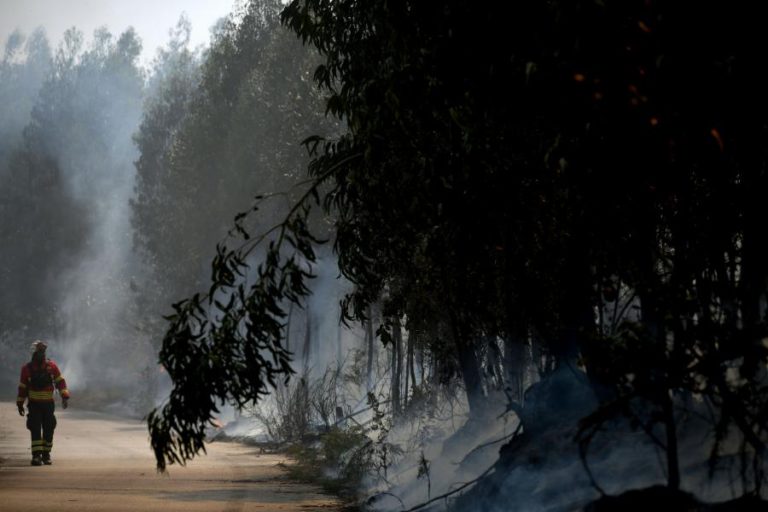 MAIS DE 20 CONCELHOS DE NOVE DISTRITOS DO CONTINENTE EM RISCO MÁXIMO DE INCÊNDIO