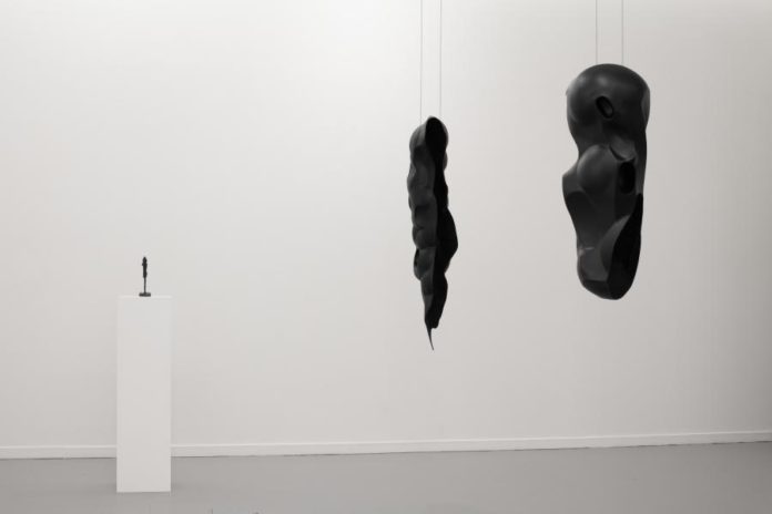 24882478.jpg