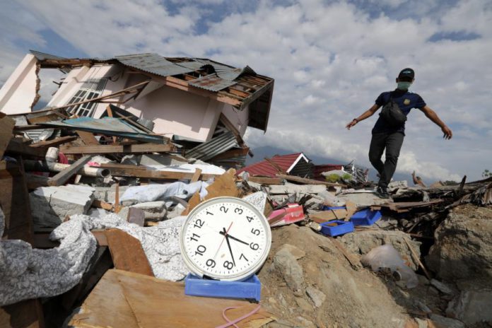 24923425.jpg