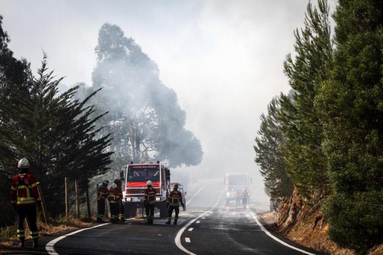 PRESIDENTE DA CÂMARA DIZ QUE ÁREA ARDIDA NO INCÊNDIO DE SINTRA NÃO É MUITO SIGNIFICATIVA