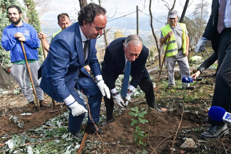 MARCELO ARRANCA EUCALIPTOS E PEDE PARA SEGUIREM O SEU EXEMPLO