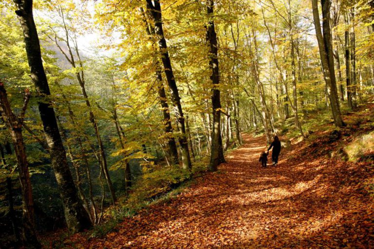 RIADE AFIRMA QUE NÃO SABE ONDE ESTÁ O CORPO DE KHASHOGGI