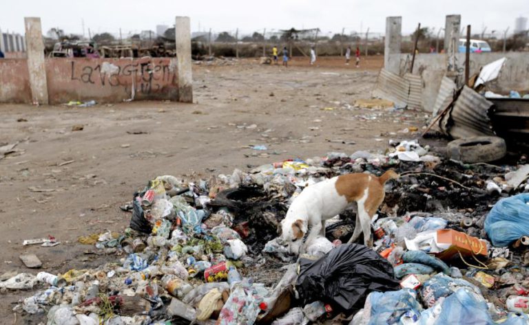 VACINA DA RAIVA CHEGA A ANGOLA DEPOIS DE 189 MORTES ESTE ANO