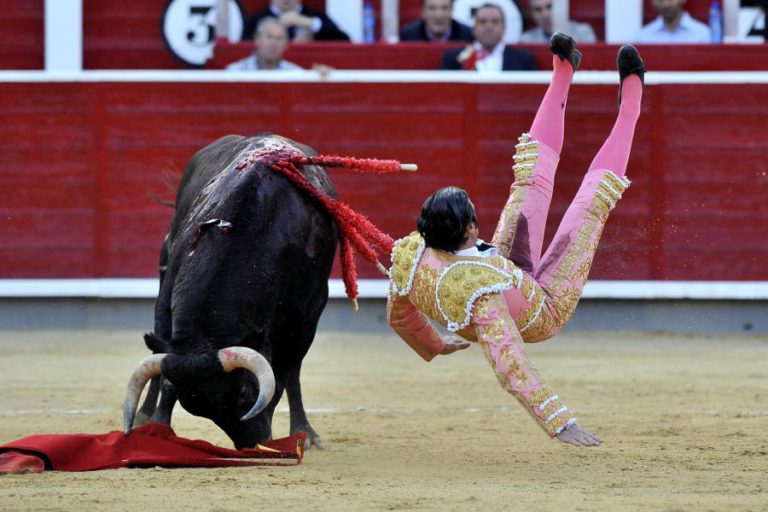 PS AVANÇA COM PROPOSTA PARA REDUZIR O IVA DA TAUROMAQUIA