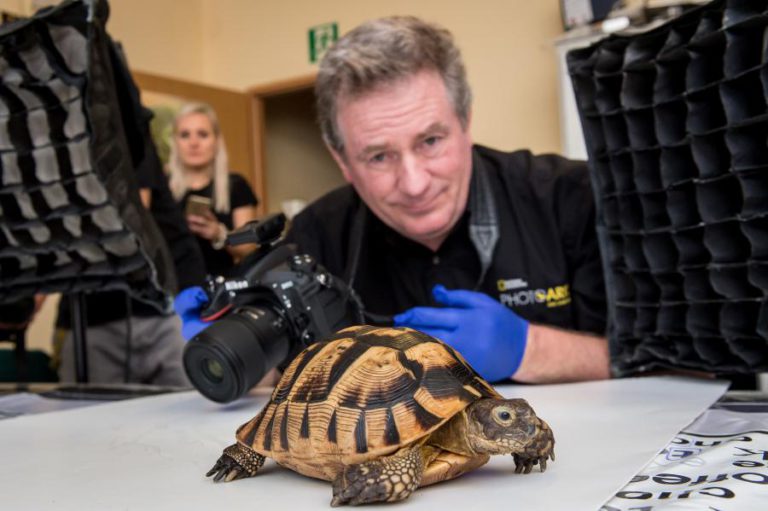 “ARCA FOTOGRÁFICA” DE JOEL SARTORE EM EXPOSIÇÃO EM LISBOA A PARTIR DE QUARTA-FEIRA