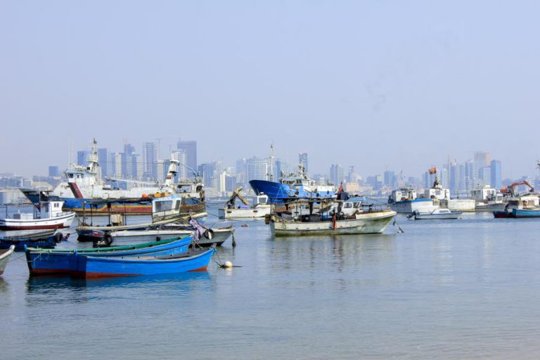 ECONOMIA ANGOLANA FECHA O ANO COM RECESSÃO DE 0,4%, DIZ FOCUSECONOMICS