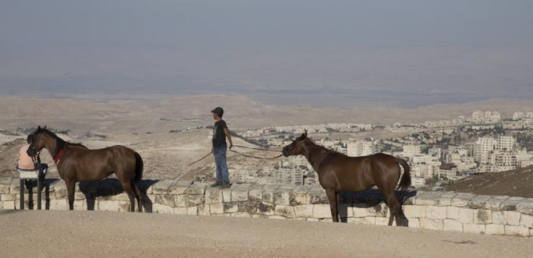 ISRAEL DETEVE MAIS DE 900 MENORES DESDE O INÍCIO DO ANO