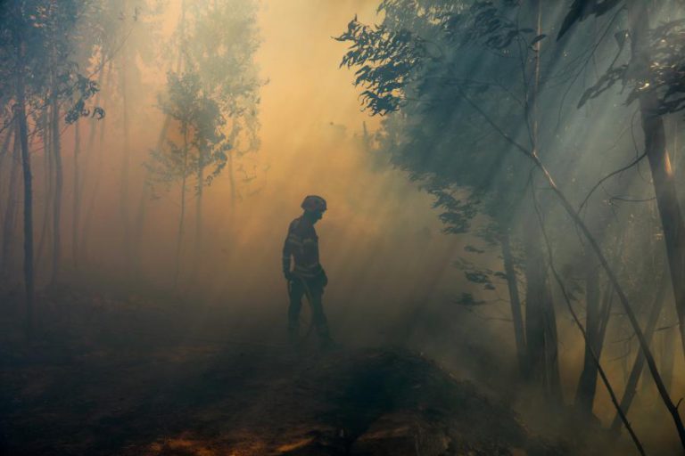 UM MILHÃO DE EUROS PARA PROJETOS AMBIENTAIS NAS ZONAS AFETADAS PELOS INCÊNDIOS EM OUTUBRO