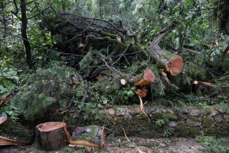 GOVERNO ABRE CRÉDITO NO VALOR DE 5 ME PARA PRODUTORES AFETADOS PELA TEMPESTADE LESLIE