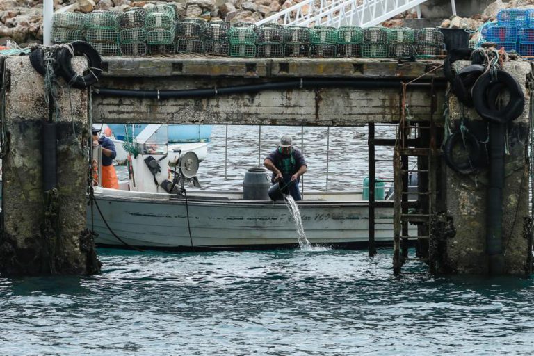BRUXELAS SAÚDA ACORDO SOBRE PLANO DE PESCA QUE ABRANGE PORTUGAL