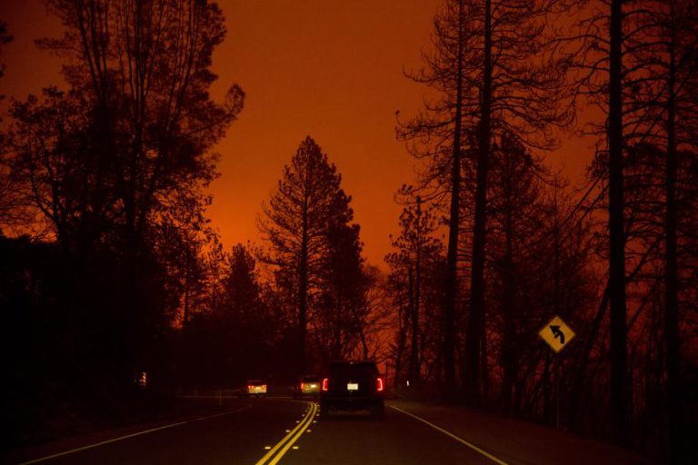 ESPECIALISTAS ENCONTRAM SEMELHANÇAS ENTRE INCÊNDIOS NA CALIFÓRNIA E EM PORTUGAL