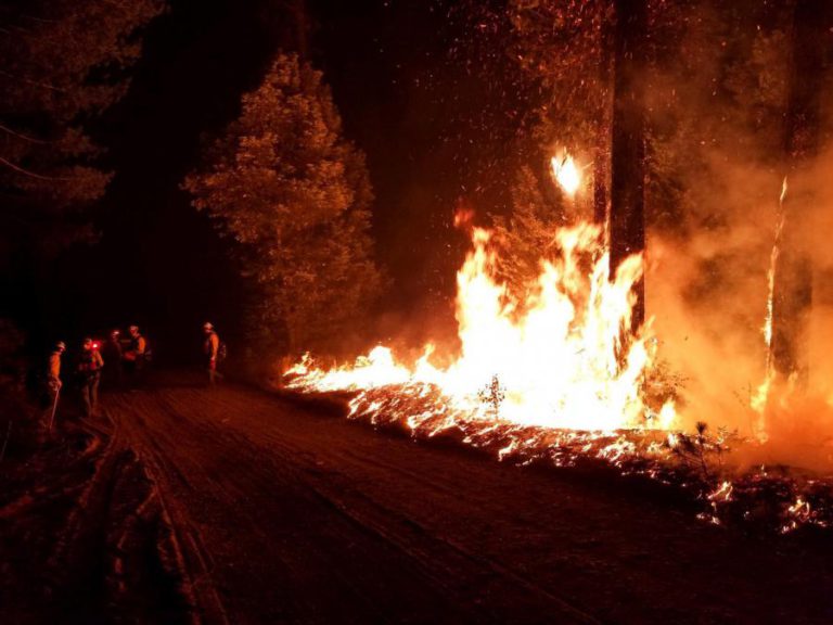 SOBE PARA 87 NÚMERO DE MORTOS EM INCÊNDIO DEVASTADOR NA CALIFÓRNIA