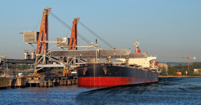 FOTO: NARCITY FOTO: NARCITY