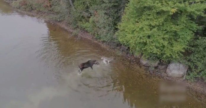 FOTO: HUFFPOST CANADA FOTO: HUFFPOST CANADA