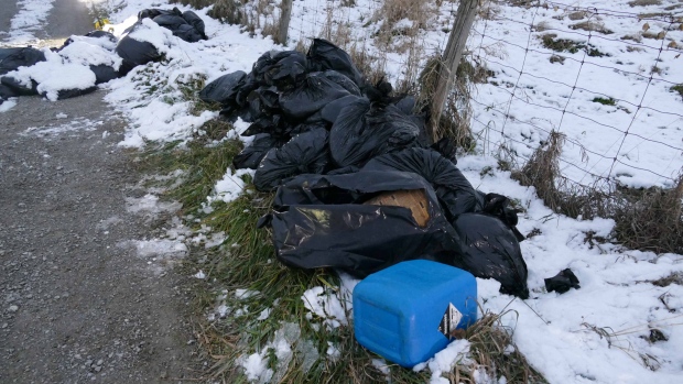 Imagem: York Reginal Police