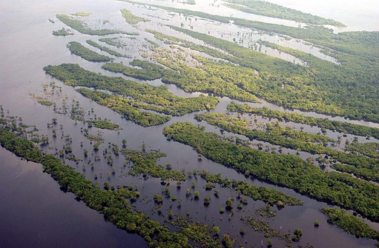 BRASIL RECUSA À PETROLÍFERA FRANCESA TOTAL EXPLORAÇÃO NA FOZ DO AMAZONAS