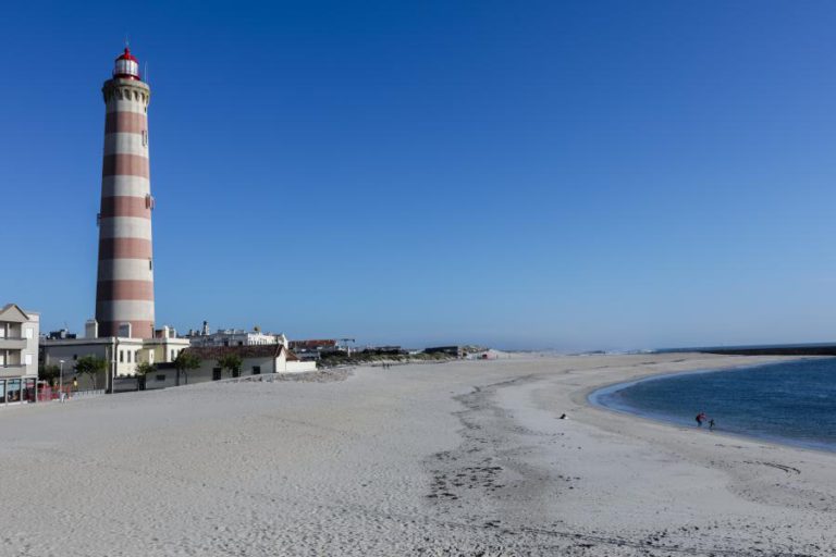FARÓIS RECEBERAM ESTE ANO 100 MIL VISITANTES E O DE AVEIRO FOI O MAIS PROCURADO