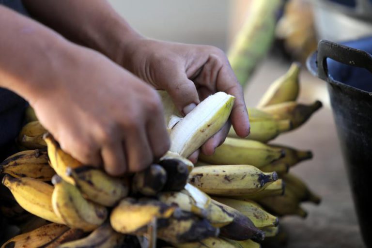 MOÇAMBIQUE INOVA COM FARINHA DE BANANA QUE APROVEITA TODO O FRUTO