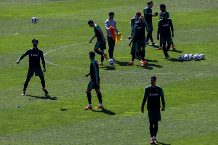 23926838.jpg