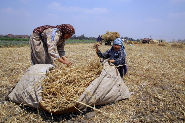 DIRETORA-ADJUNTA DA FAO PEDE MAIOR ESFORÇO PARA ERRADICAR FOME ATÉ 2030