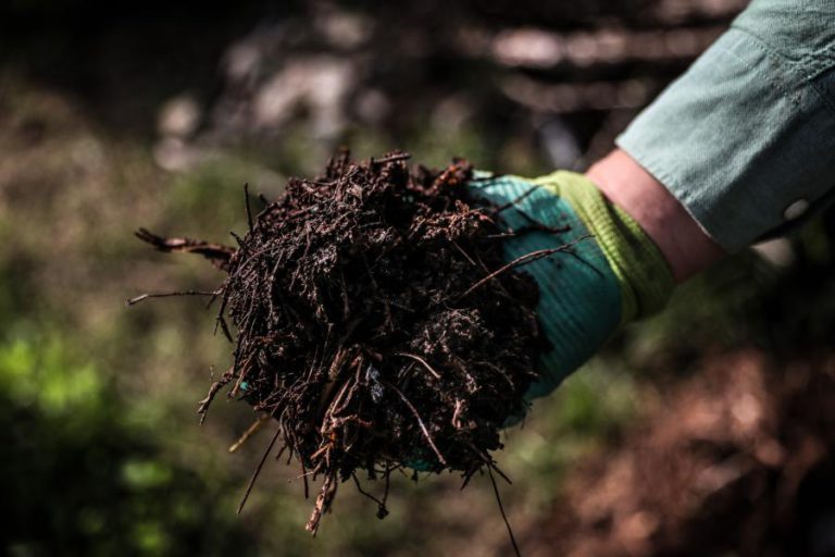 PROJETO DE COMPOSTAGEM ATRAIU 900 LISBOETAS EM SEIS MESES