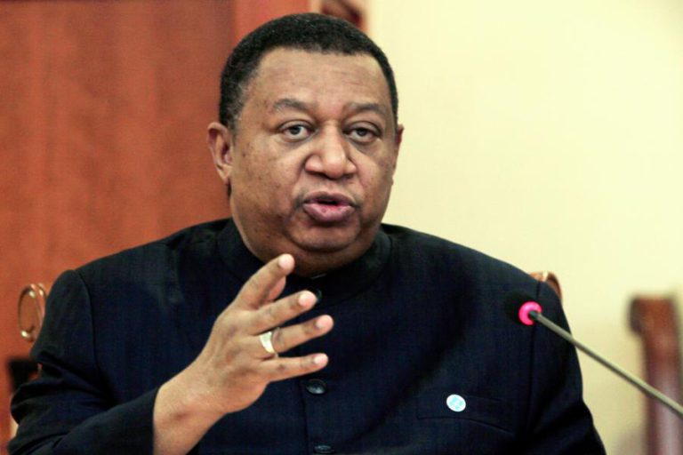 OPEP CRITICA RECUSA DOS ESTADOS UNIDOS EM PERMITIR AUMENTO DO PETRÓLEO