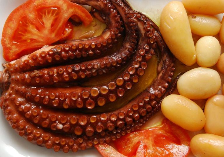 LUSODESCENDENTE MARIA LAWTON ESTREIA PRIMEIRA SÉRIE DE CULINÁRIA PORTUGUESA NOS EUA