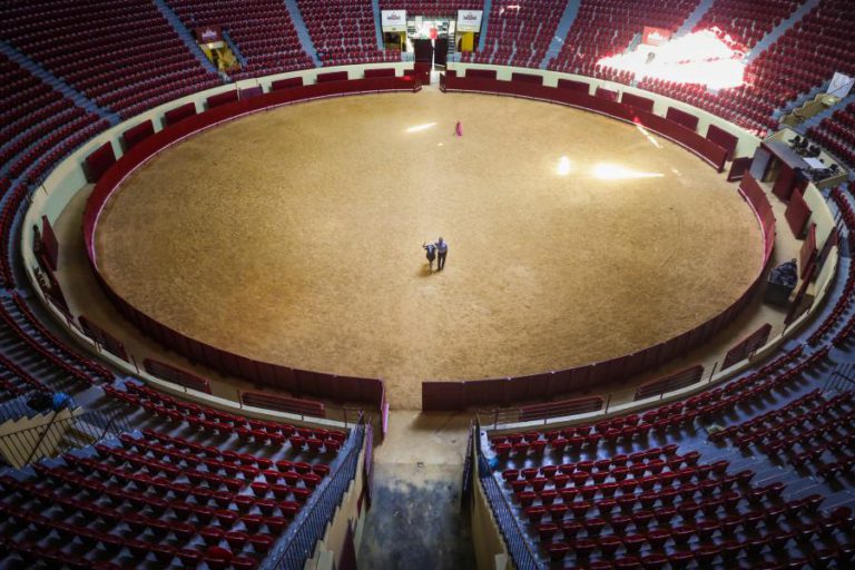 DIA DA TAUROMAQUIA ASSINALADO A 23 DE FEVEREIRO EM LISBOA