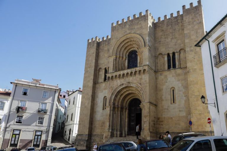 DESCOBERTO NOVO FUNGO QUE ESTÁ A DETERIORAR PEDRA DA SÉ VELHA DE COIMBRA