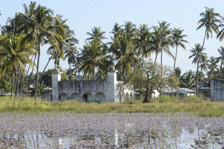 SUL-AFRICANO INDICIADO POR ATAQUES NO NORTE DE MOÇAMBIQUE MORRE EM HOSPITAL