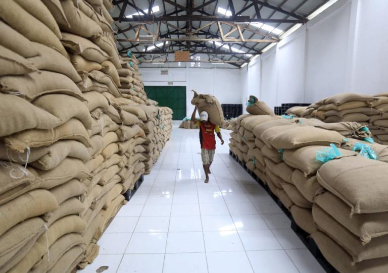 FMI PREVÊ QUE ECONOMIA TIMORENSE CRESÇA 5% ESTE ANO, COM RETOMA DE GASTOS PÚBLICOS