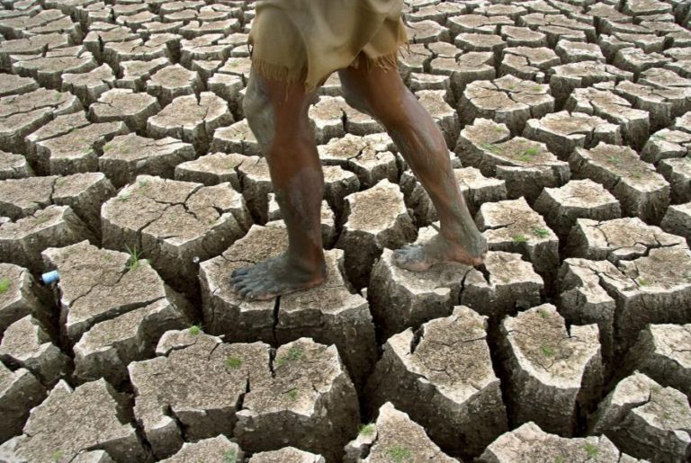 SECA AGRAVOU-SE MAS SITUAÇÃO AINDA NÃO É COMO A DO ANO PASSADO