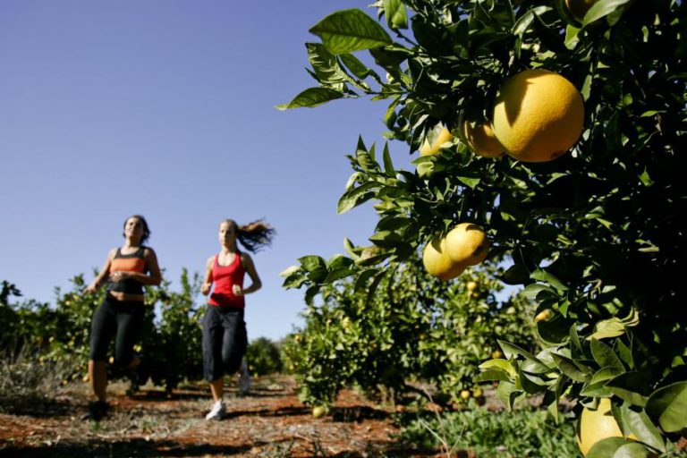 PORTUGUESES FAZEM CADA VEZ MENOS EXERCÍCIO FÍSICO