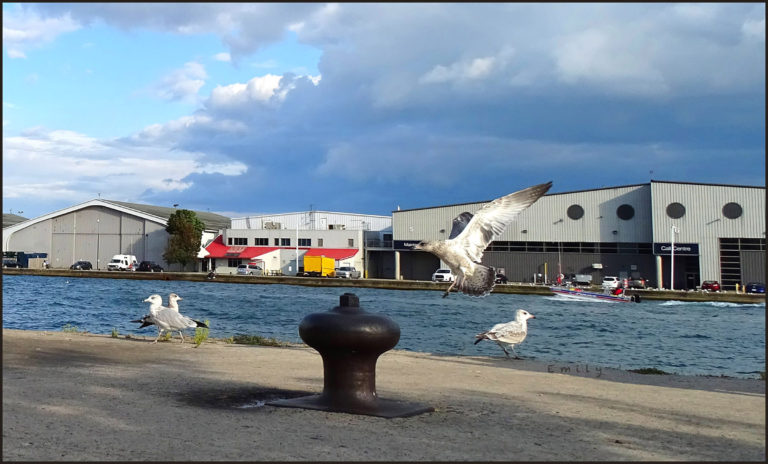 Foto: Wikimedia Commons