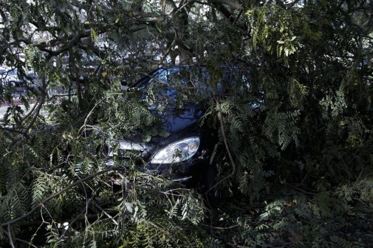 MAIS DE 700 OCORRÊNCIAS ATÉ ÀS 18:30 EM PORTUGAL CONTINENTAL