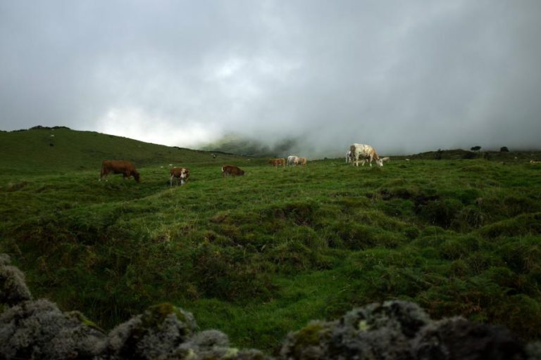 AÇORES COM TEMPERATURAS MAIS ALTAS E TEMPESTADES MAIS FREQUENTES ATÉ AO 2100