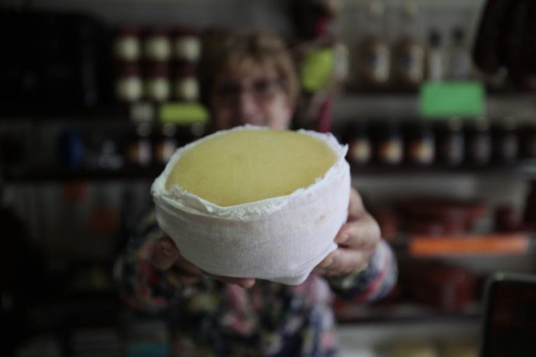 PRODUÇÃO DO QUEIJO DA SERRA DA ESTRELA DOP ATINGIU AS 195 TONELADAS EM 2017
