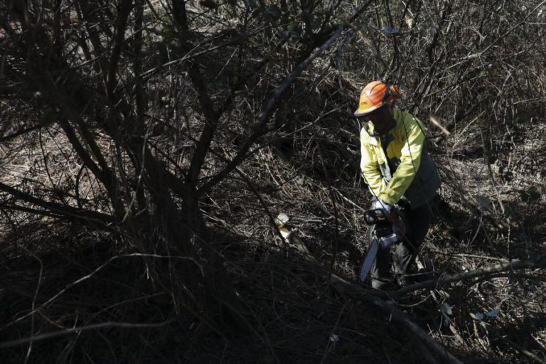 LIMPEZA DAS FLORESTAS E ADAPTAÇÃO ÀS ALTERAÇÕES CLIMÁTICAS TERÃO BENEFICIOS FISCAIS