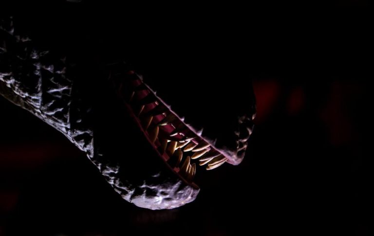 DESCOBERTOS FÓSSEIS DE NOVA ESPÉCIE DE DINOSSAURO QUE TINHA ‘ESPINHOS ÓSSEOS’