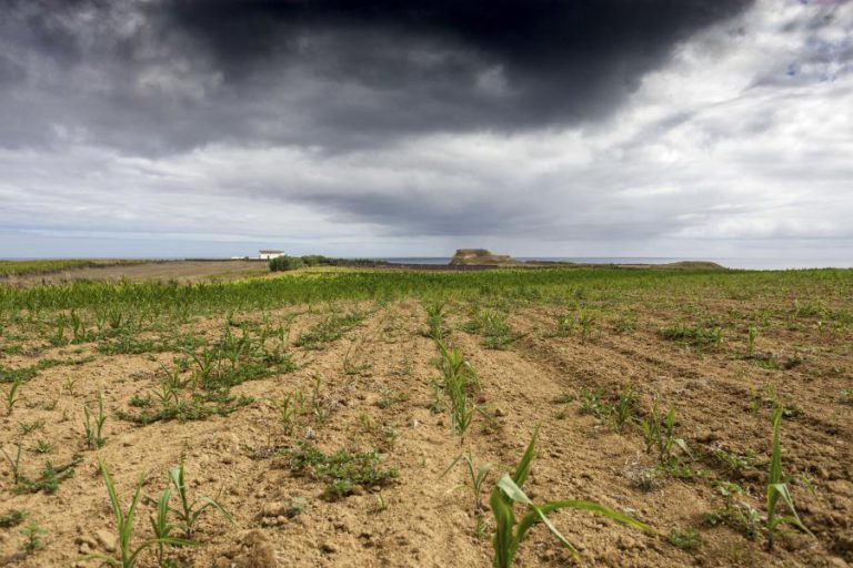 MINISTRO DA AGRICULTURA PREOCUPADO COM “ESPETRO DE SECA” MAS SEM COMPROMETER ANO AGRÍCOLA