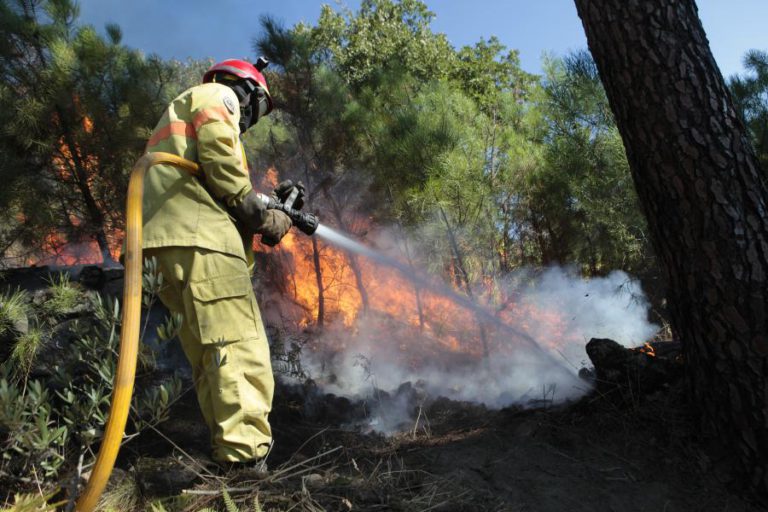 MONTALEGRE “CAMPEÃO” EM OCORRÊNCIAS E ÁREA ARDIDA EM 2019
