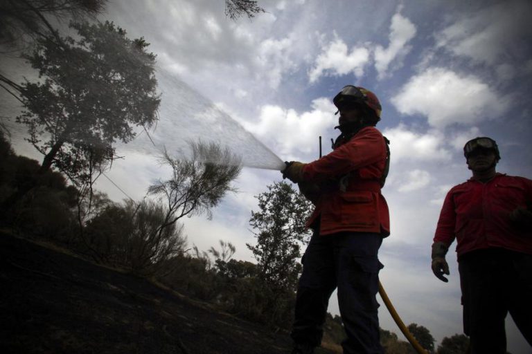 PROTEÇÃO CIVIL ALERTA PARA RISCO DE INCÊNDIOS RURAIS DEVIDO A TEMPERATURAS ALTAS E VENTO FORTE