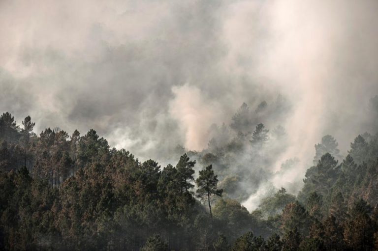 INCÊNDIO LAVRA NO PARQUE NATURAL GALEGO DE XURÉS E JÁ QUEIMOU 40 HECTARES